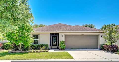 Massimo, WIMAUMA, FL 33598