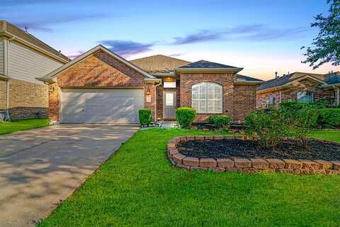 Cabot, DICKINSON, TX 77539