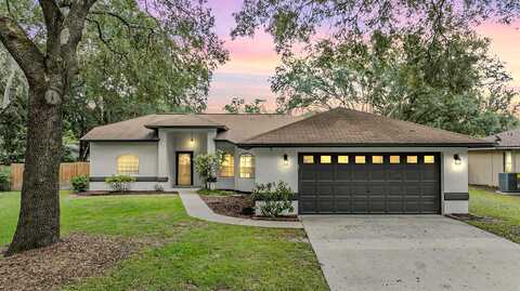 Windsor, LUTZ, FL 33559