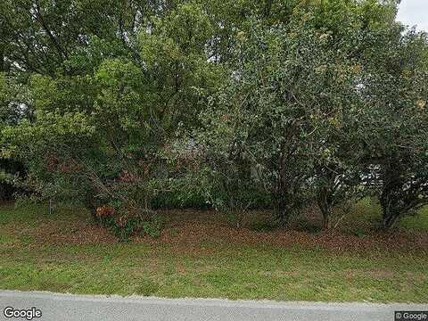 156Th, SUMMERFIELD, FL 34491
