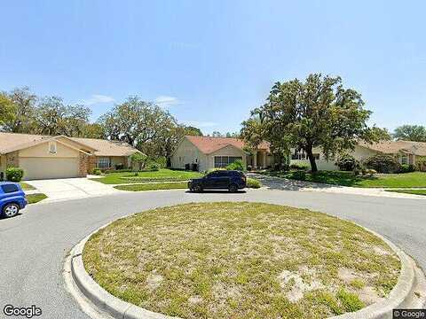 Bengal, NEW PORT RICHEY, FL 34654