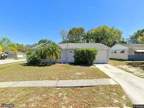 Brodie, NEW PORT RICHEY, FL 34653