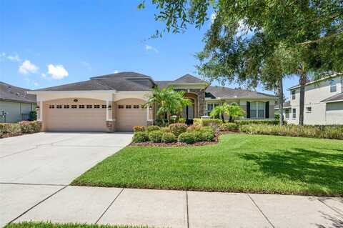 Clouds Peak, LUTZ, FL 33558