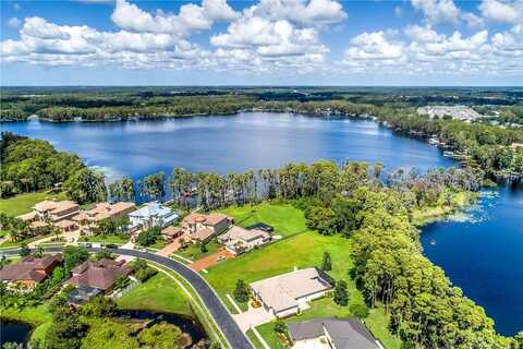 Beamin Dew, LAND O LAKES, FL 34638