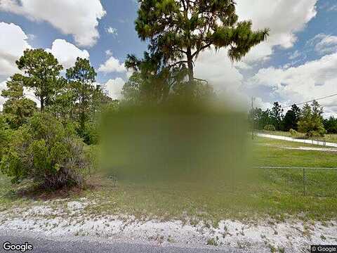 Collins, OSTEEN, FL 32764