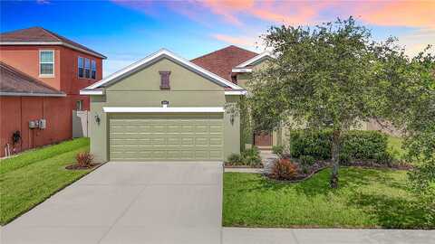Pacente, WESLEY CHAPEL, FL 33543