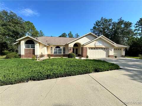 Palomino, BEVERLY HILLS, FL 34465