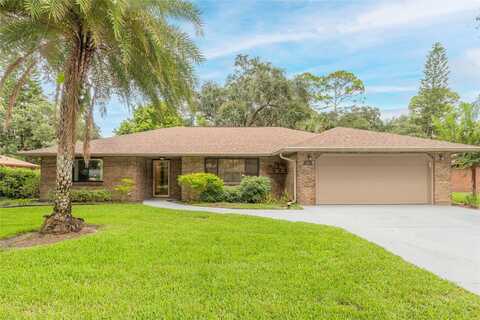 Socha, PORT ORANGE, FL 32129