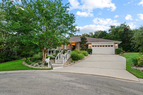 Grey Fox, CRESTVIEW, FL 32536
