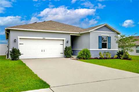 Begonia, MASCOTTE, FL 34753