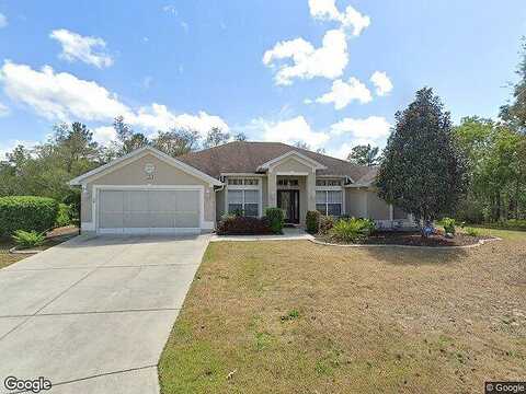 Smilax, HOMOSASSA, FL 34446