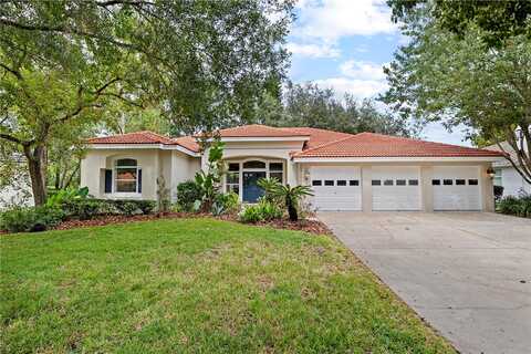 Green Willow, TAMPA, FL 33647