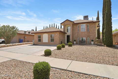 Ruddy Quail, EL PASO, TX 79936