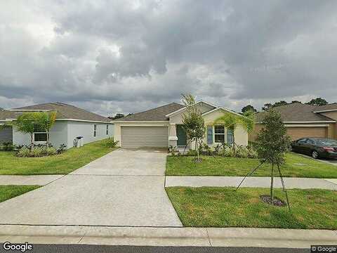 White Mangrove, WIMAUMA, FL 33598