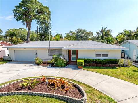 Robin, SAINT PETERSBURG, FL 33707