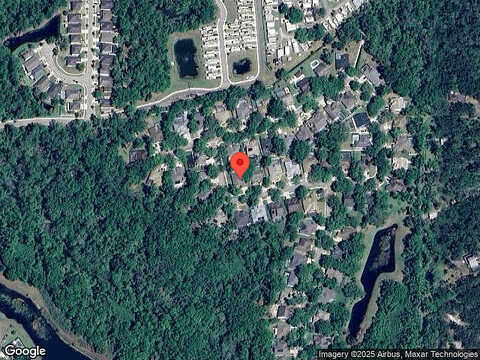 River Birch, RIVERVIEW, FL 33569