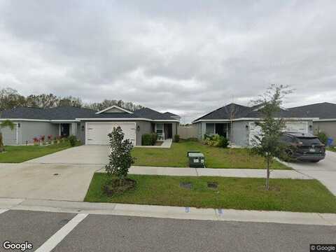 Saw Palmetto, RIVERVIEW, FL 33569
