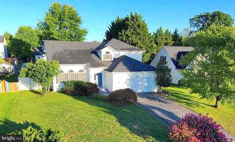 Canyon, WINCHESTER, VA 22602