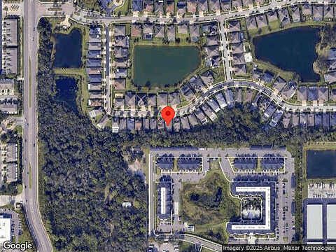 Alcon Blue, RIVERVIEW, FL 33578