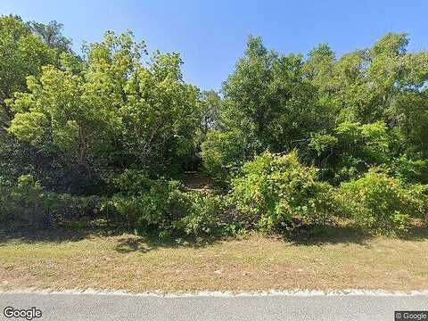 Shady, HUDSON, FL 34669
