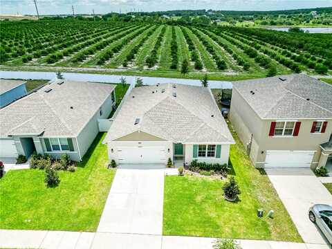 Black Walnut, CLERMONT, FL 34715