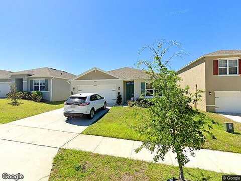 Black Walnut, CLERMONT, FL 34715