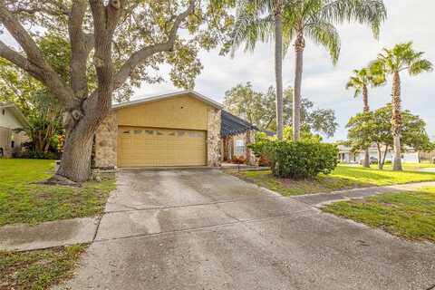 Kestrel, PALM HARBOR, FL 34683