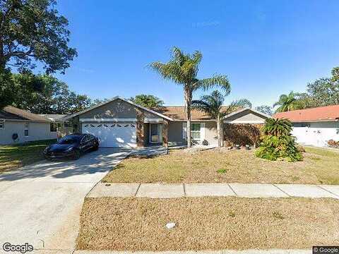 Hammock, PALM HARBOR, FL 34683