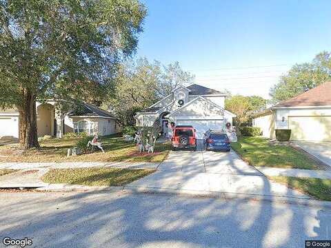 Hanging Moss, LAKE MARY, FL 32746