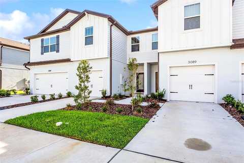 Amberview, WESLEY CHAPEL, FL 33545