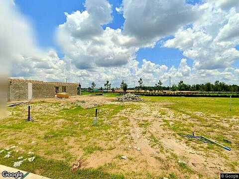 Amberview, WESLEY CHAPEL, FL 33545