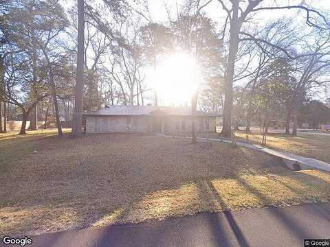Pine Canyon, SPRING, TX 77380
