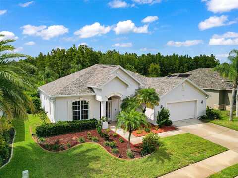 Blue Beech, TRINITY, FL 34655