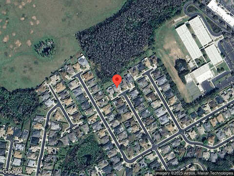 Blue Beech, TRINITY, FL 34655