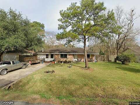 Shasta, KEMAH, TX 77565