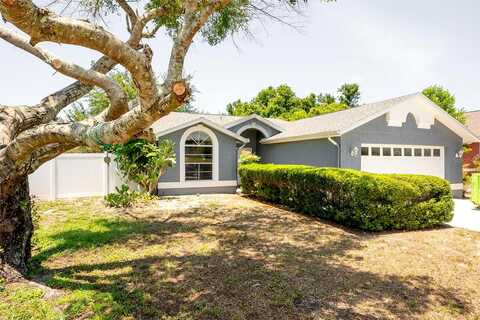 White Pine, HUDSON, FL 34667