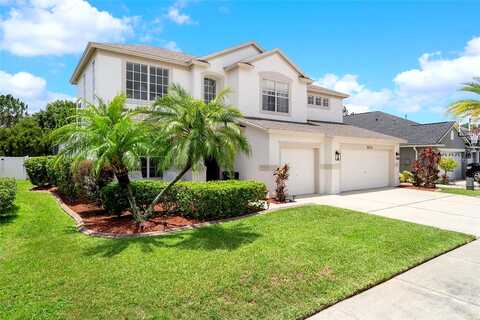 Nikki, ODESSA, FL 33556