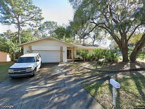 Briarwood, SAFETY HARBOR, FL 34695
