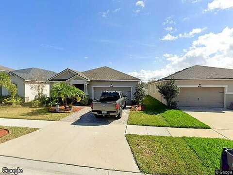 Texas Sage, RIVERVIEW, FL 33579