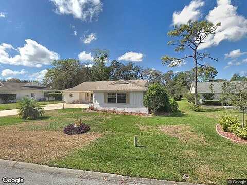 Ironwood, HUDSON, FL 34667