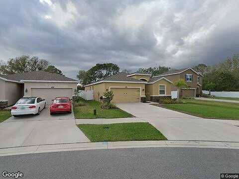 Scenic Hollow, RIVERVIEW, FL 33578