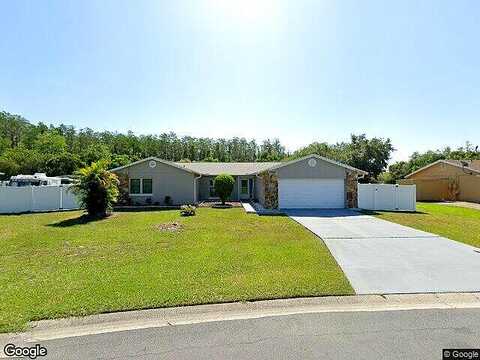 Birchwood, KISSIMMEE, FL 34743