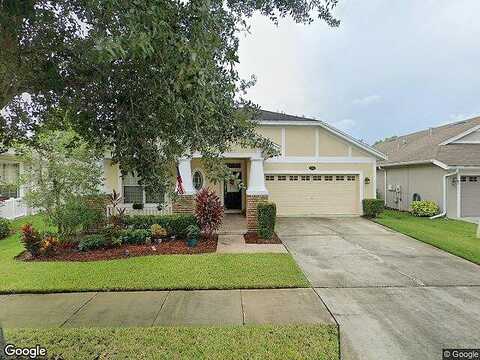 Sky Blue, LUTZ, FL 33558