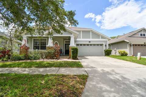 Sky Blue, LUTZ, FL 33558