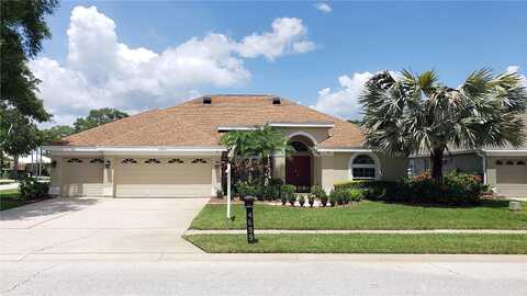 Gilronan, PALM HARBOR, FL 34685