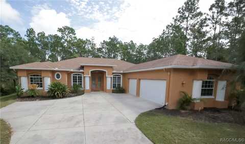 Saddletree, BEVERLY HILLS, FL 34465