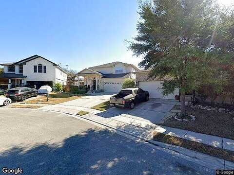 Kinglet, NEW BRAUNFELS, TX 78130