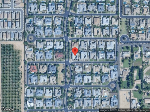 Lovebird, GILBERT, AZ 85297