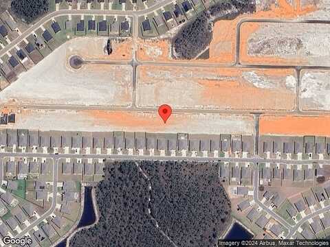 Privet Berry, GULF BREEZE, FL 32563