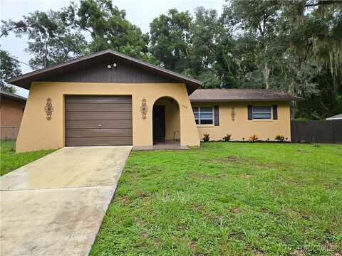 Daisy, INVERNESS, FL 34452